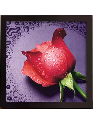 rose-2021 *พร้อมส่ง* ชุดภาพติดคริสตัลกลม ลายช่อกุหลาบแดง ( ติดเฉพาะช่วงดอกกุหลาบ กิ่ง ใบ) ขนาด 30*28 ซม.ผ้าแคนวาสลงกาว คริสตัลกลม 10 สี อุปกรณ์ครบชุด