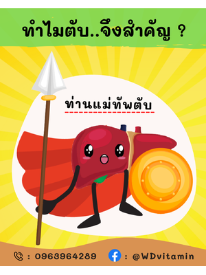 ความสำคัญของ...ตับ