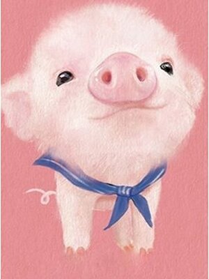pig-2001 *พร้อมส่ง* ชุดภาพติดคริสตัลกลม ลายหมูน้อย (งานติดเต็มภาพ) ขนาด 30*40 ซม.ผ้าแคนวาสลงผังลายเต็ม คริสตัลกลม 13 สี อุปกรณ์ครบชุด