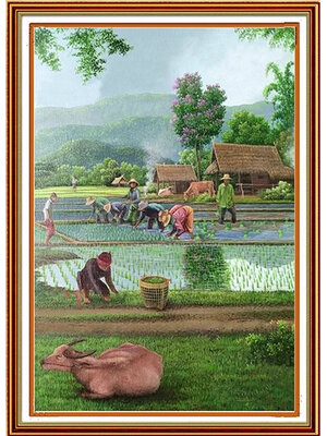 view-1003 *พร้อมส่ง* ชุดปักครอสติช ลายวิถีทำนา (ปักเต็มผืนผ้า ไม่มีเดินเส้น ผ้า11CTพิมพ์ลาย ปัก 3 เส้นเล็ก) ขนาด 60*80 ซม.ผ้าครอสติช 11CTพิมพ์ลายปักบนผ้า ไหมคอตตอน 41 สี ผังลาย เข็ม