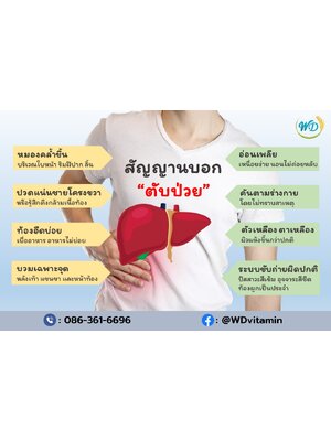 8 สัญญาบอกตับป่วย