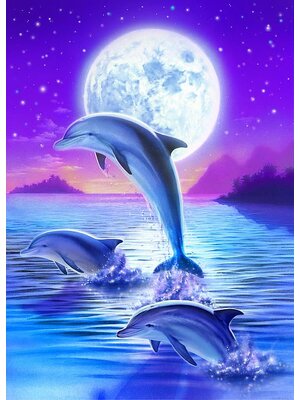 pla-2028 *พร้อมส่ง* ชุดภาพติดคริสตัลกลม ลายโลมาใต้เงาจันทร์ (งานติดเต็มภาพ) ขนาด 40*50 ซม.ผ้าแคนวาสลงผังลายเต็ม คริสตัลกลม 25 สี อุปกรณ์ครบชุด