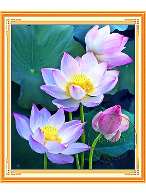 bua-1100 *สินค้าหมด* ชุดปักครอสติช ลายบึงบัวหลวง (ปักเต็มผืนผ้า ไม่มีเดินเส้น ผ้า11CT พิมพ์ลาย ปัก 3 เส้นเล็ก) ขนาด 55*60 ซม.ผ้าครอสติช 11CTพิมพ์ลายปักบนผ้า ไหมคอตตอน 44 สี ผังลาย เข็ม