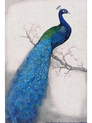 peacock-2089 *พร้อมส่ง* ชุดภาพติดคริสตัลกลม ลายนกยูงสีน้ำเงิน หันขวา (งานติดเต็มภาพ) ขนาด 45*60 ซม.ผ้าแคนวาสลงผังลายเต็ม คริสตัลกลม 25 สี อุปกรณ์ครบชุด