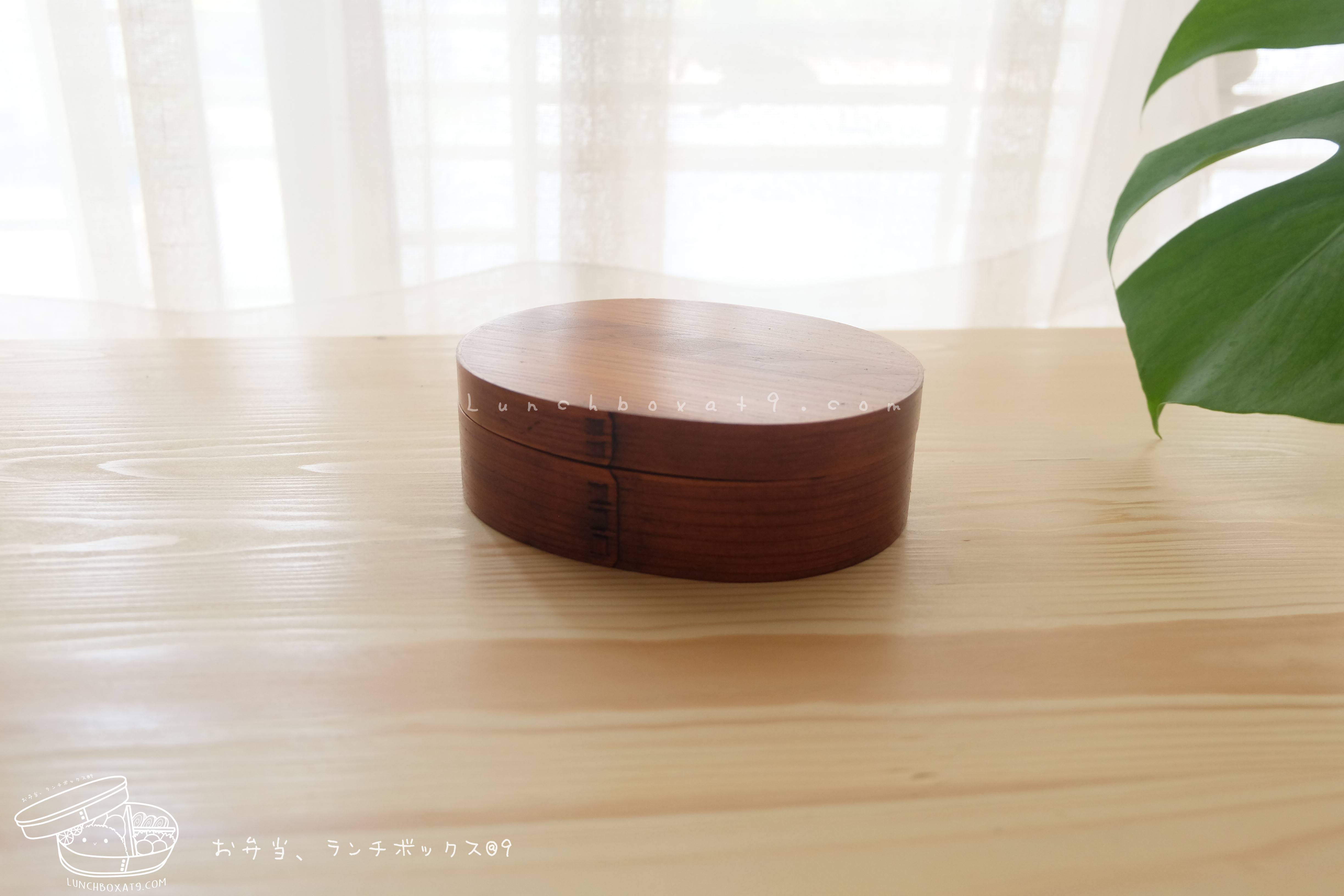 Kids Small Ellipse Shiraki bending magewappa bento box กล่องข้าวญี่ปุ่นวงรีสีไม้ 1 ชั้น ขนาดเล็กสำหรับเด็ก
