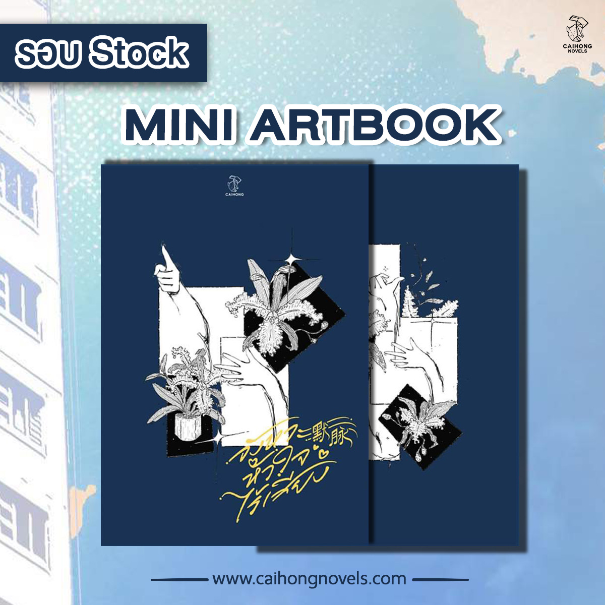 [รอบสต็อก] มินิอาร์ตบุ๊ค #จังหวะหัวใจไร้เสียง ฉบับแก้ไข