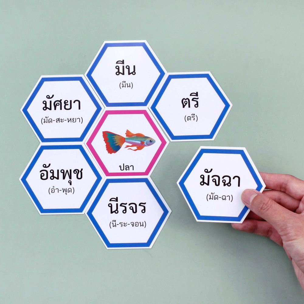 เกมต่อรังผึ้ง คำไวพจน์ คำพ้องความหมาย พัฒนาทักษะความจำของผู้เล่น