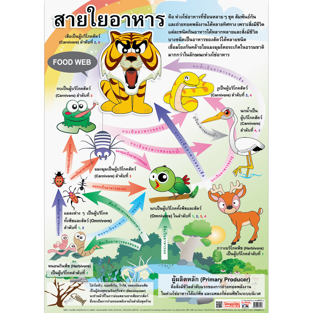 Food Web Educational Posters No.104