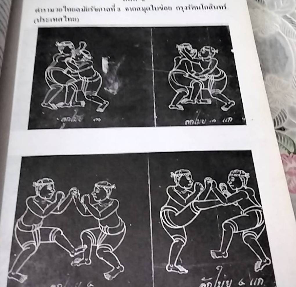 ตำรา พาหุยุทธ มวยไทยยอดศิลปการต่อสู้