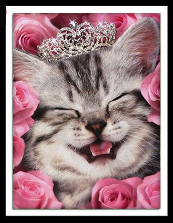 cat-2009 *สินค้าหมด* ชุดภาพติดคริสตัลกลม ลายเจ้าหญิงแมวน้อย (งานติดเต็มภาพ) ขนาด 40*50 ซม.ผ้าแคนวาสลงผังลายเต็ม คริสตัลกลม 24 สี อุปกรณ์ครบชุด