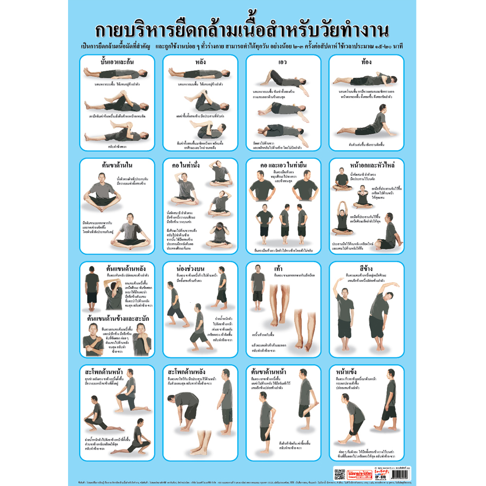 โปสเตอร์ความรู้ การบริหารยืดกล้ามเนื้อสำหรับวัยทำงาน EP-070 EQ-070