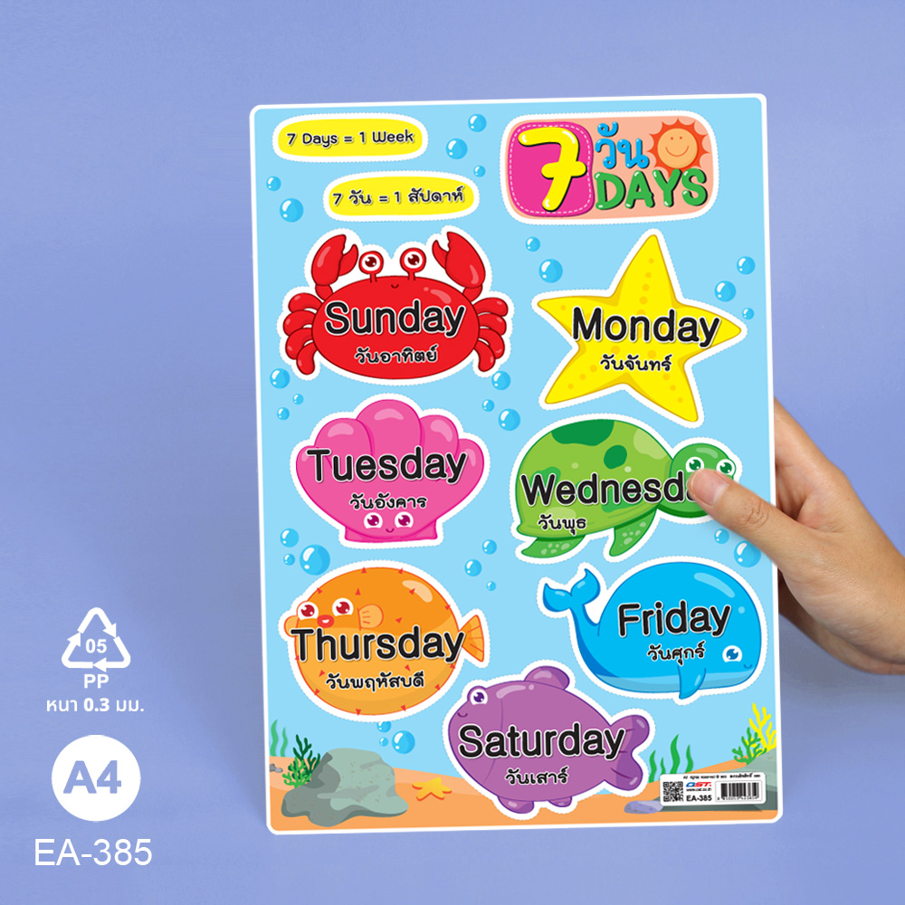 โปสเตอร์พลาสติก ความรู้ ชุด เวลา วัน เดือน ขนาดA4 EA-385 7 วัน Days
