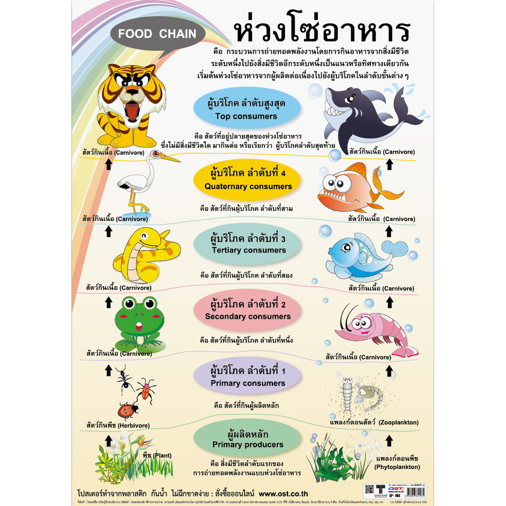 Food Chain Educational Posters No.103