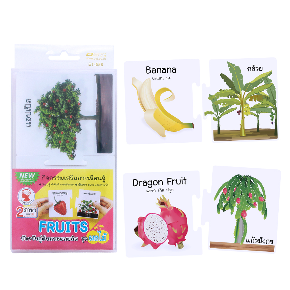 Two Piece Matching Puzzles Game ET-558 Trees and their Fruits