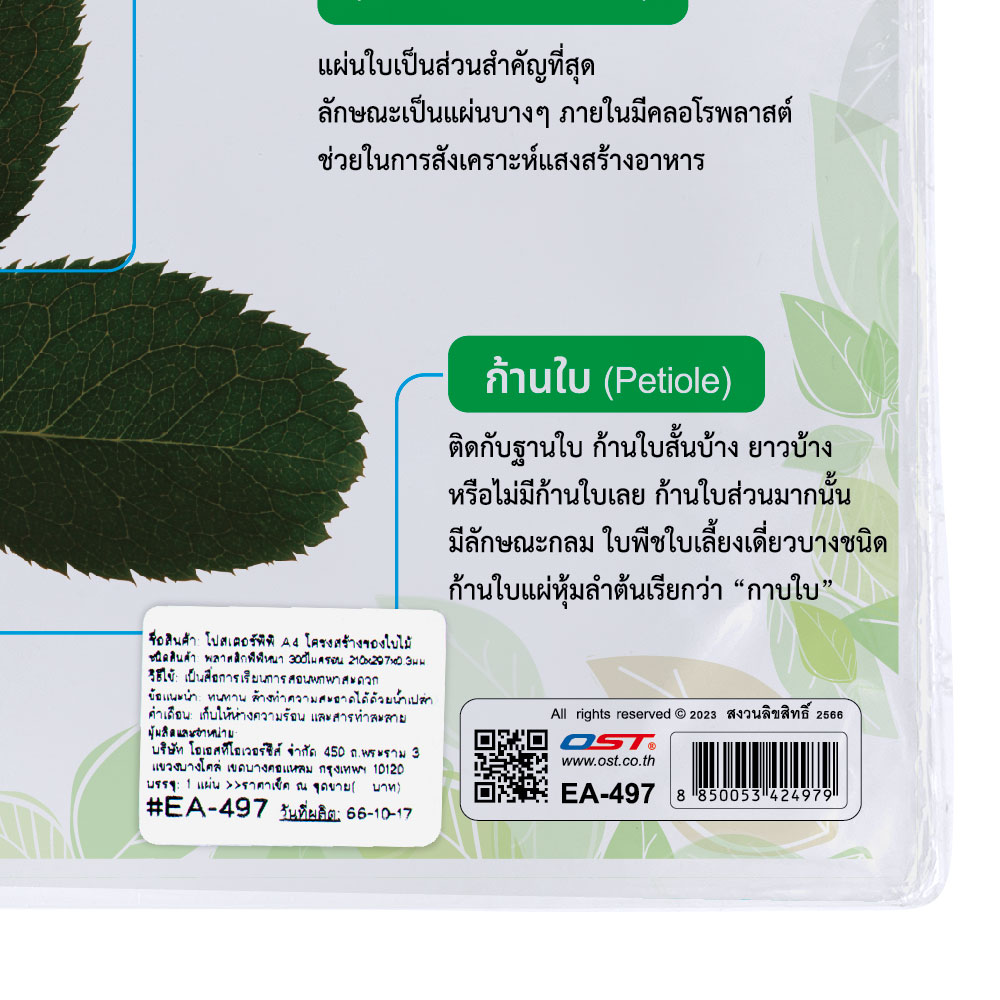 สคบ.โปสเตอร์ความรู้ เรื่องพืช ขนาด A4 EA-497 โครงสร้างของใบไม้