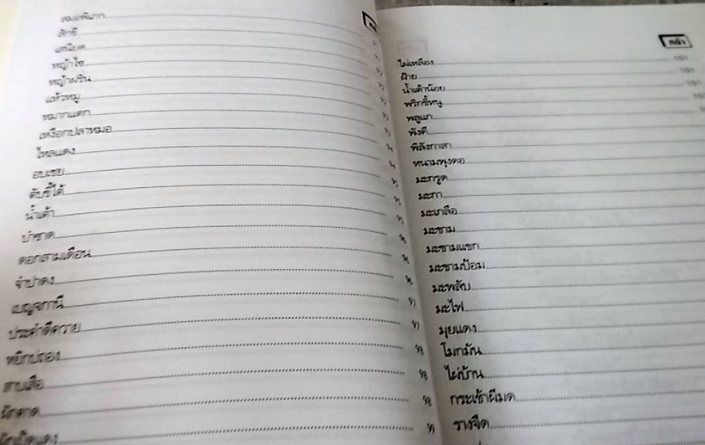 หมอดีอีสาน กับสมุนไพรพื้นบ้านรักษาโรคนานาชนิด