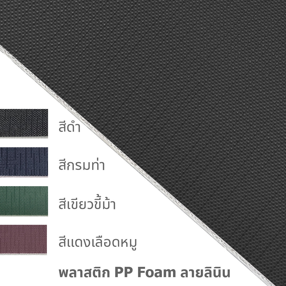 Display Books A4 Show File