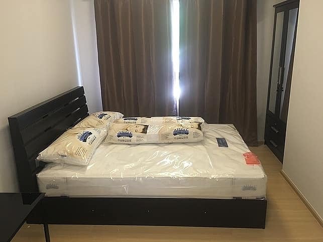 พลัมคอนโด สามัคคี - PLUM CONDO SAMAKKHI