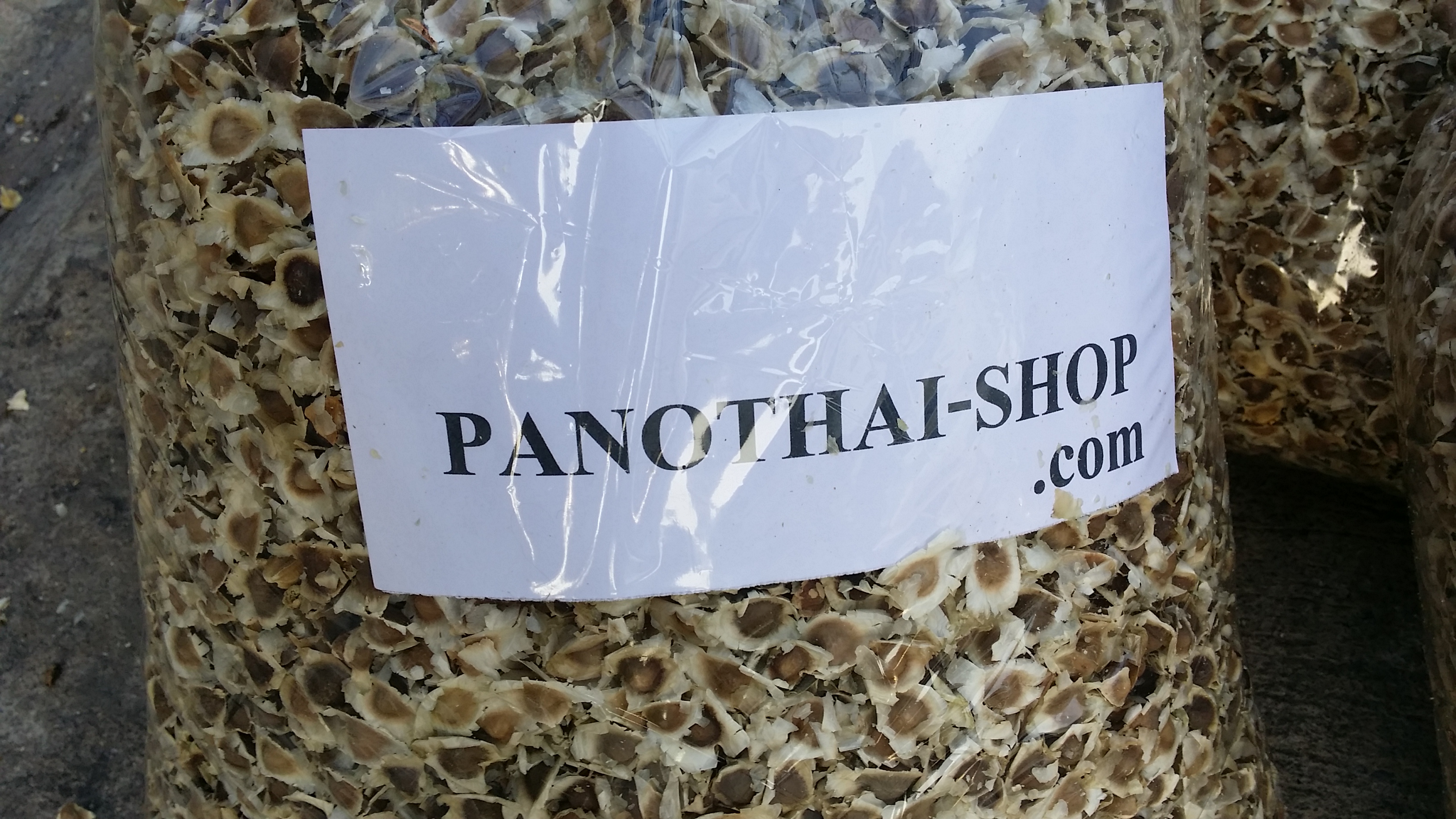 เมล็ดมะรุมแห้งคัดเกรด 1 กิโลกรัม.