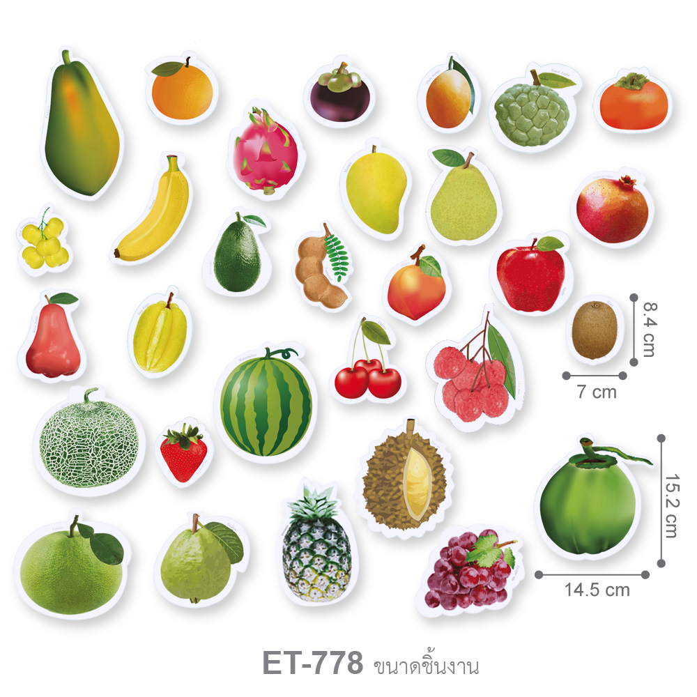 ขนาดแผ่นบัตรคำ ชุดจัดบอร์ด คำศัพท์ผลไม้นานาชนิด Fruits ET-778