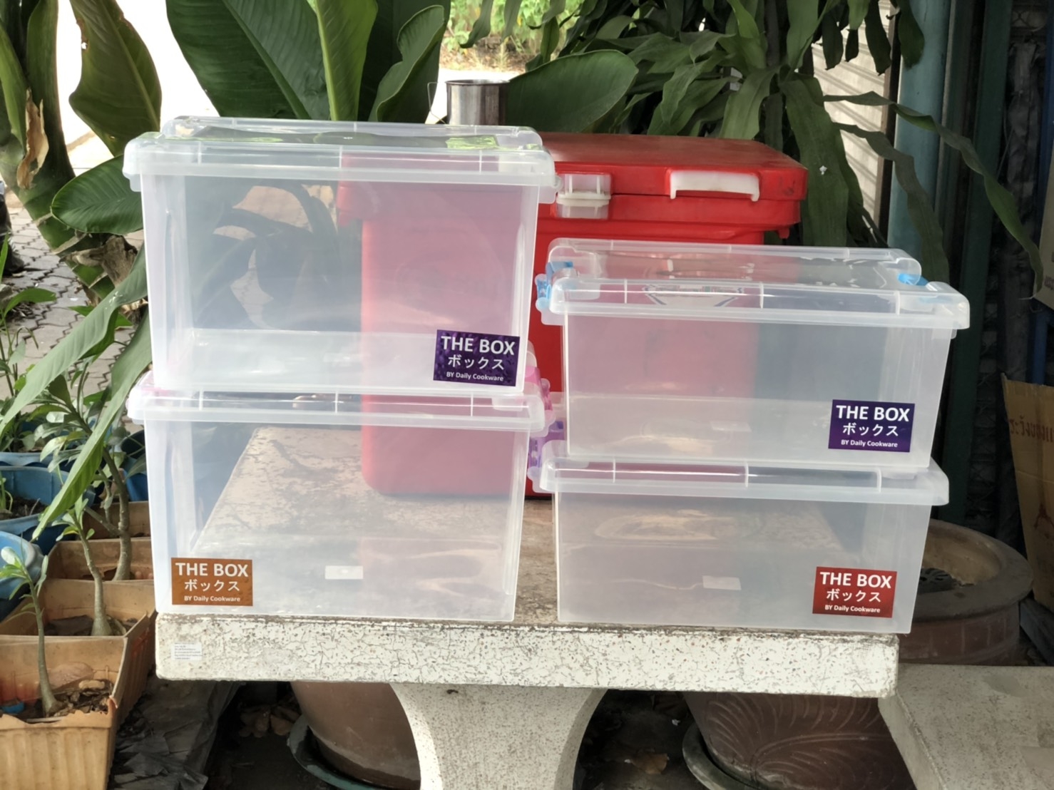 กล่อง The Box 20 L 910-20 (Cook) 30*42.5*24