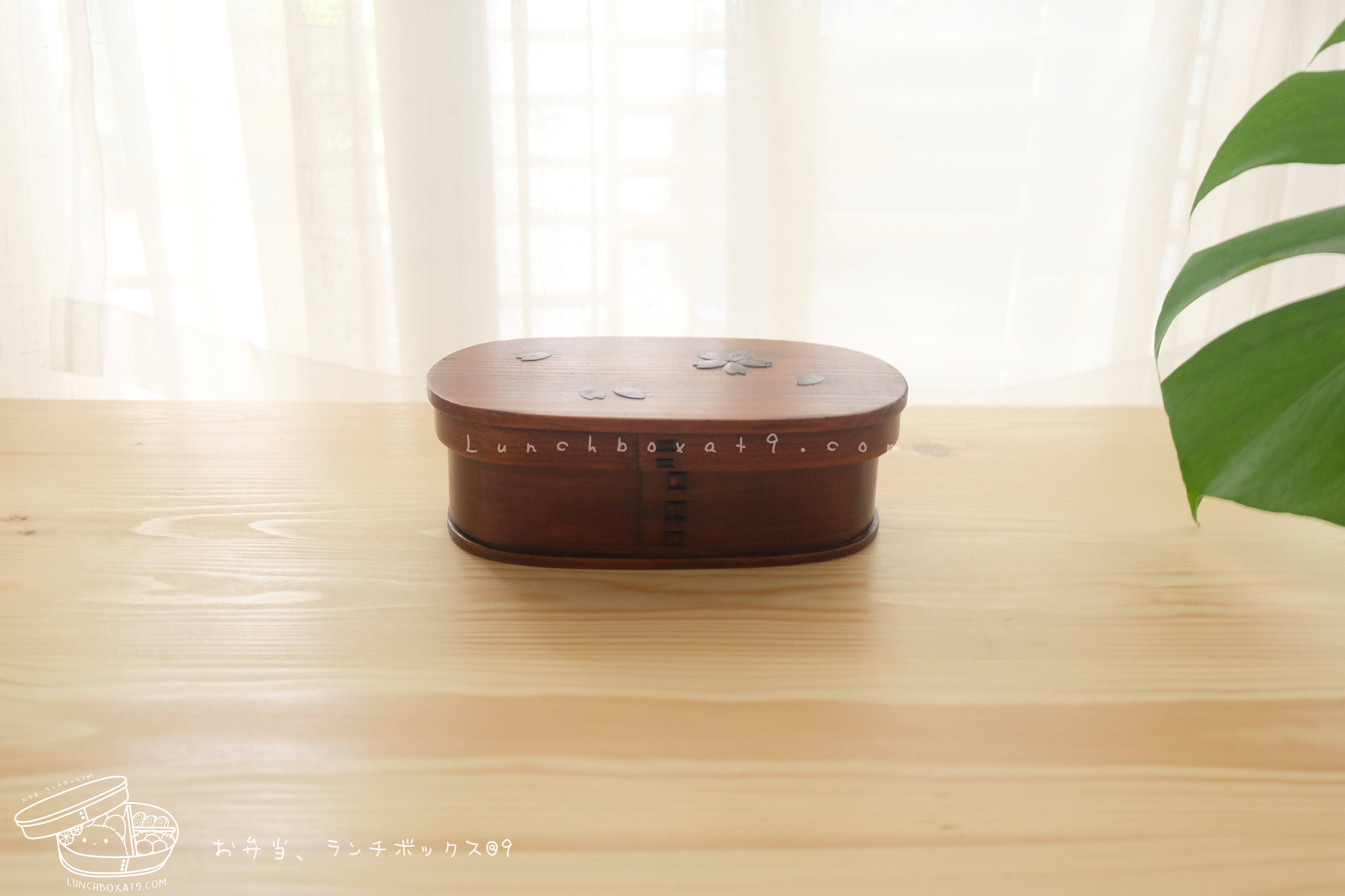 Oval Lacquered Bending magewappa Cherry Blossom Pattern bento box กล่องข้าวญี่ปุ่นทรงรี สีไม้คลาสสิค 1 ชั้น ลายดอกซากุระ