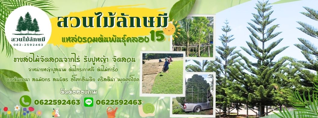 สวนลักษมี ขายหญ้า จัดสวน