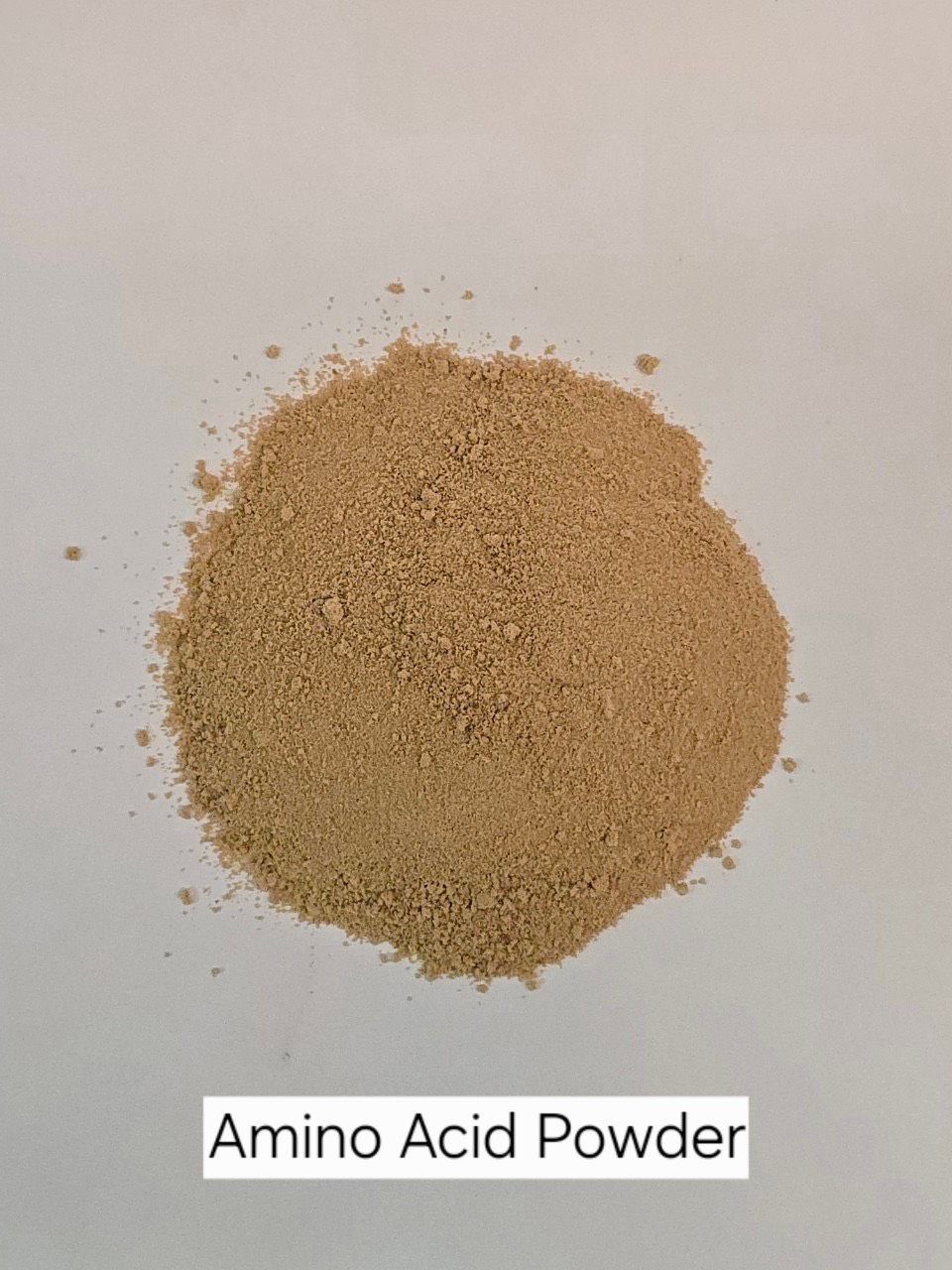 Amino Acid Powder ผงกรดอะมิโน 50% อะมิโนพิช (Plant Base ผลิตจากพืช) ประกอบด้วย Amino Acid หลายชนิดรวมกัน บรรจุ 20 กิโลกรัม