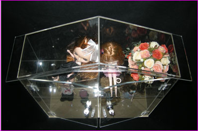 บ้านตุ๊กตา หลังใหญ่ สามารถใส่น้อง ตุ๊กตาได้หลายตัวเลยค่ะ เป็นอะครีลิคใสทั้งหลัง