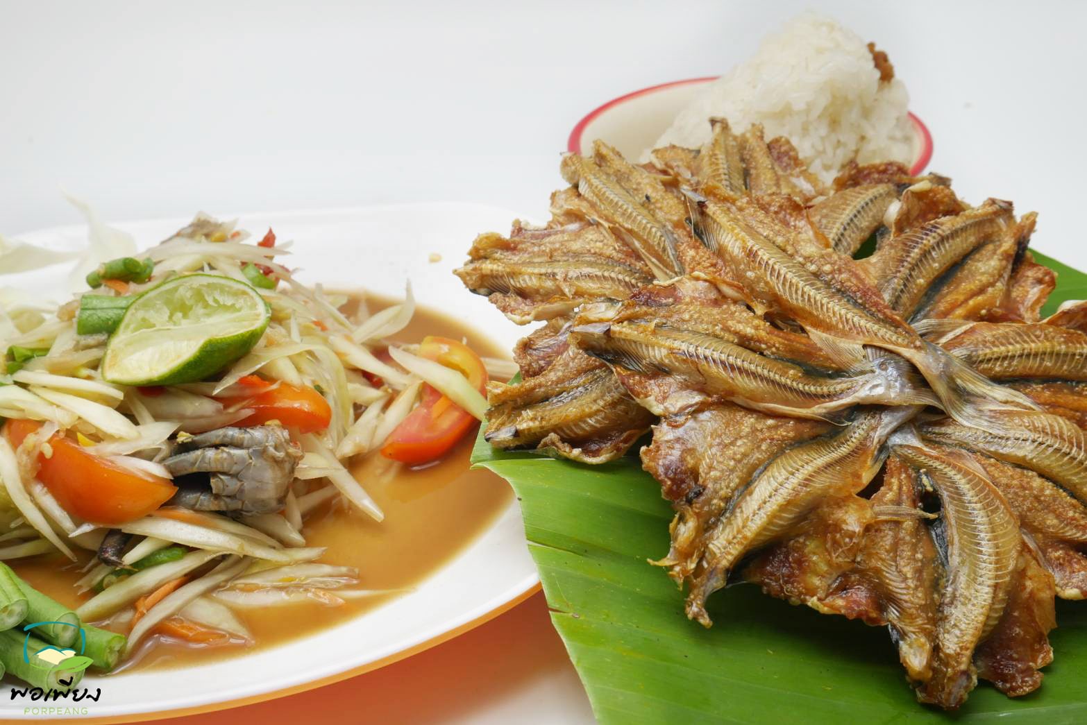 ปลาหัวโม่งตากแห้ง แพค 10วง(ปลีก)