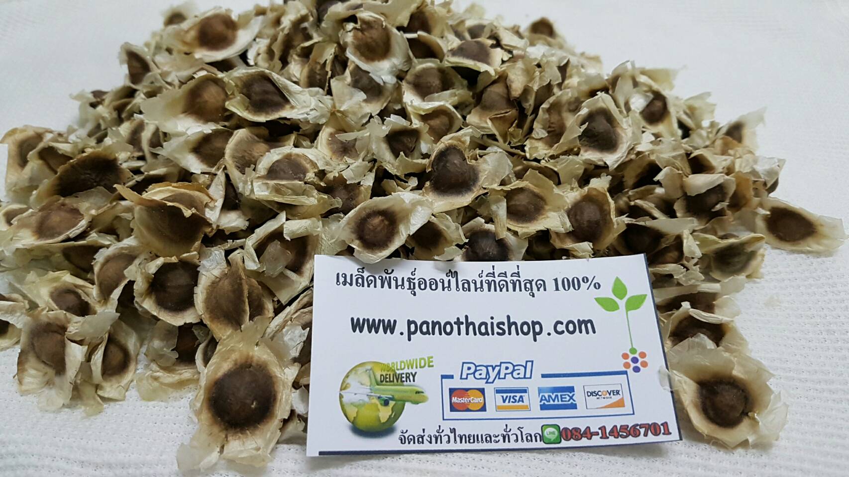 เมล็ดมะรุมแห้งคัดเกรด 1 กิโลกรัม.