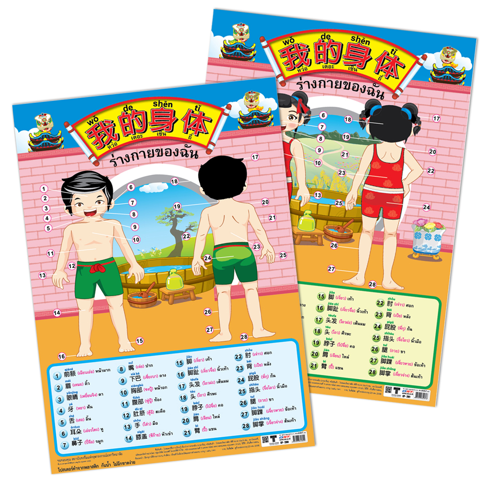 Thai-Mandarin-Pinyin My Body Educational Posters