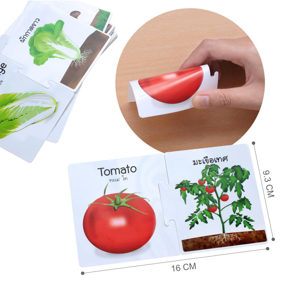ขนาดบัตร เกมจับคู่ บัตรคำศัพท์2ภาษา ไทย-อังกฤษ ต้นและผลผลิต ชุดผัก Vegetables ET-557