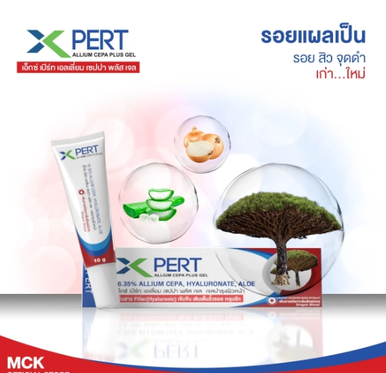 (ซื้อ3 ราคาพิเศษ) X-pert Allium Cepa plus gel สการ์ เอ็กซ์ เปิร์ท ครีม 10g.