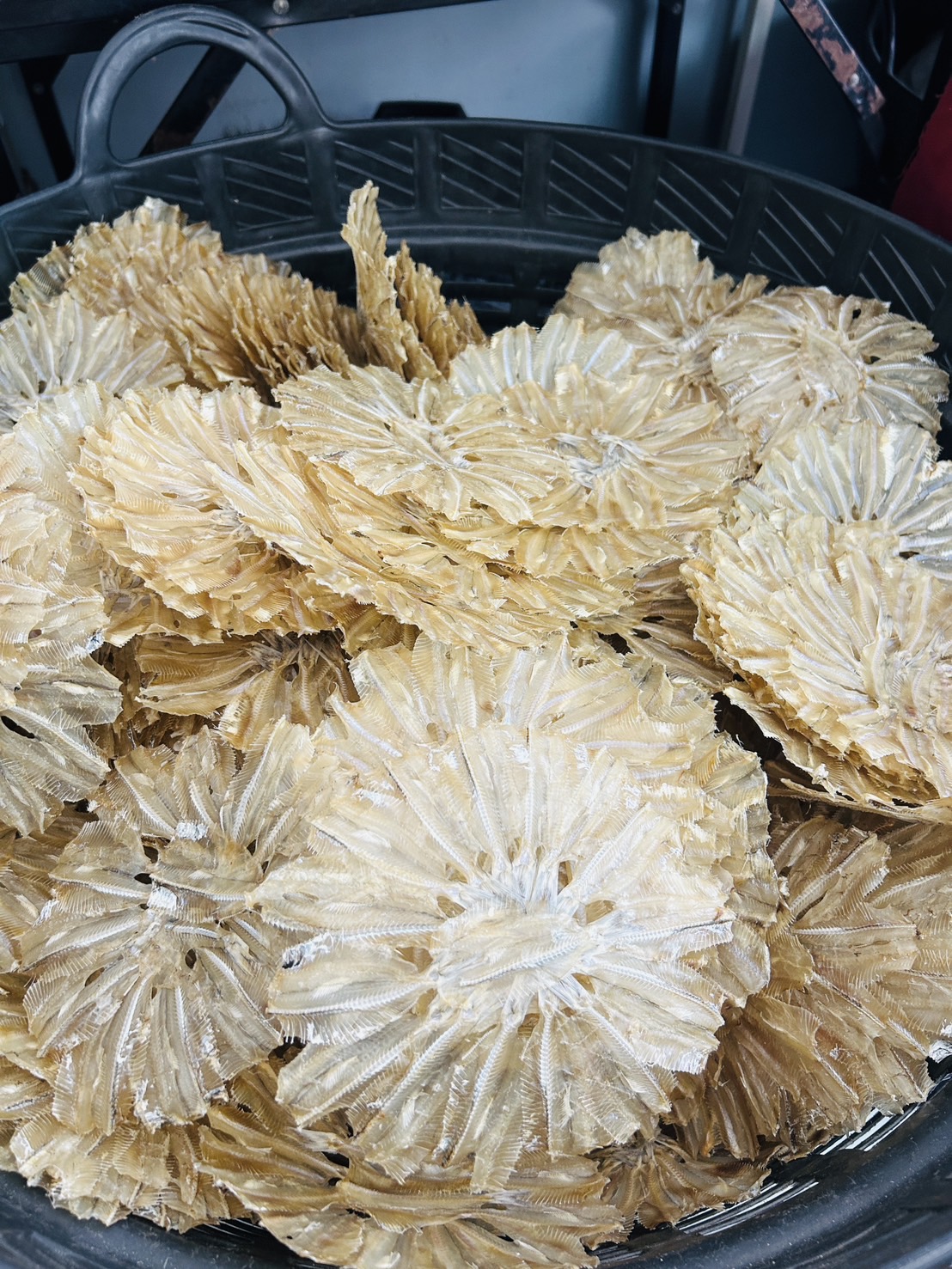 ปลาเกล็ดขาว (แบบวง) ราคาส่ง 10 แพค