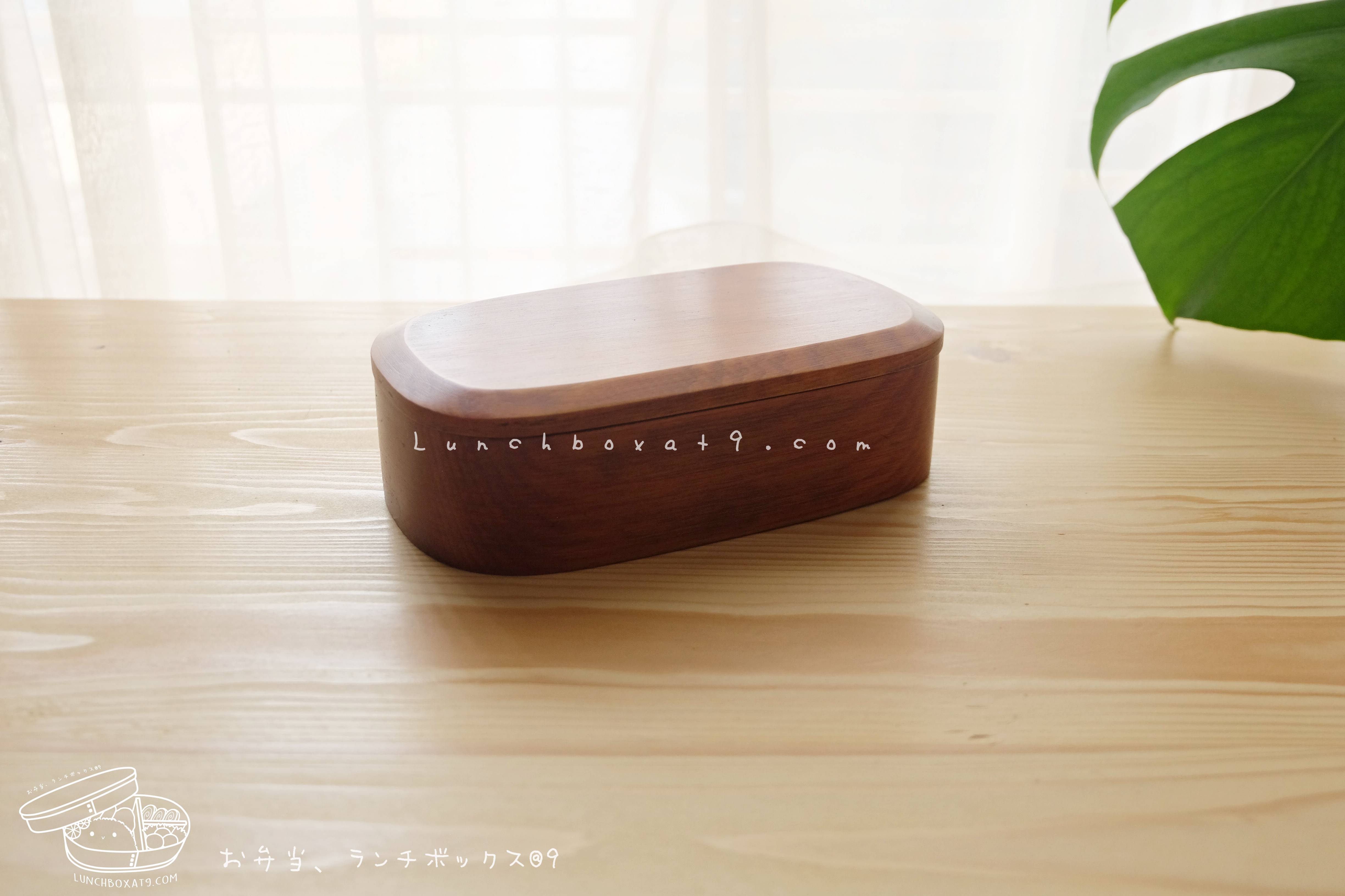 Square Lacquered Hemlock Bento Boxกล่องข้าวญี่ปุ่นทรงสี่เหลี่ยมสีไม้คลาสสิค 1 ชั้น