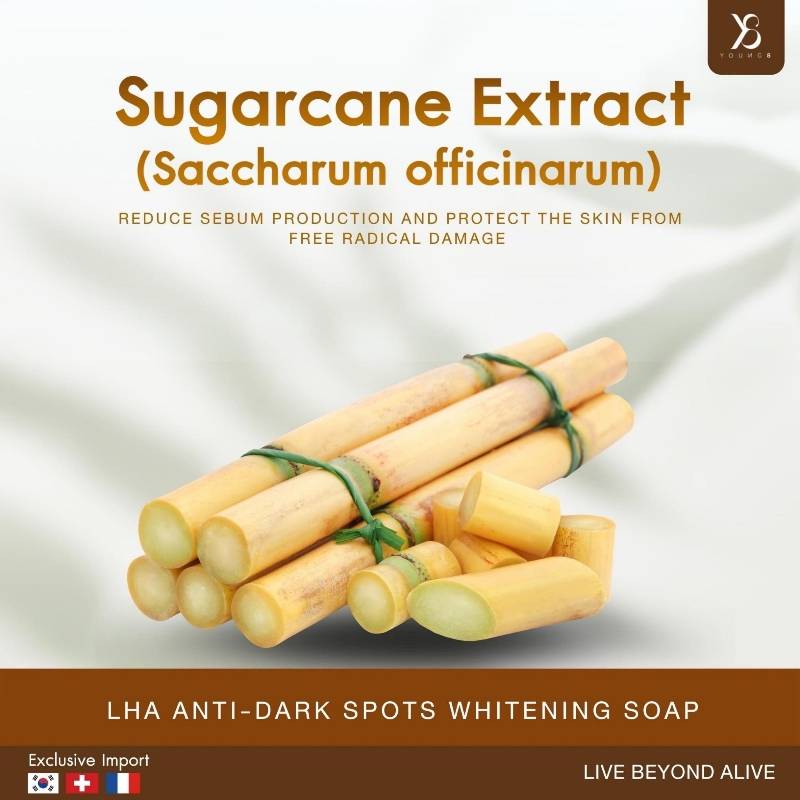 LHA Whitening Soap