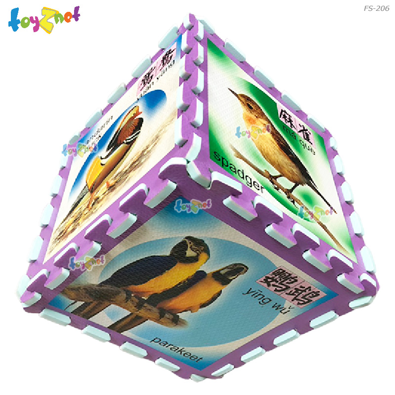 Toyznet 8" Square birds foam mats (Pinyin Chinese) No.FS-206