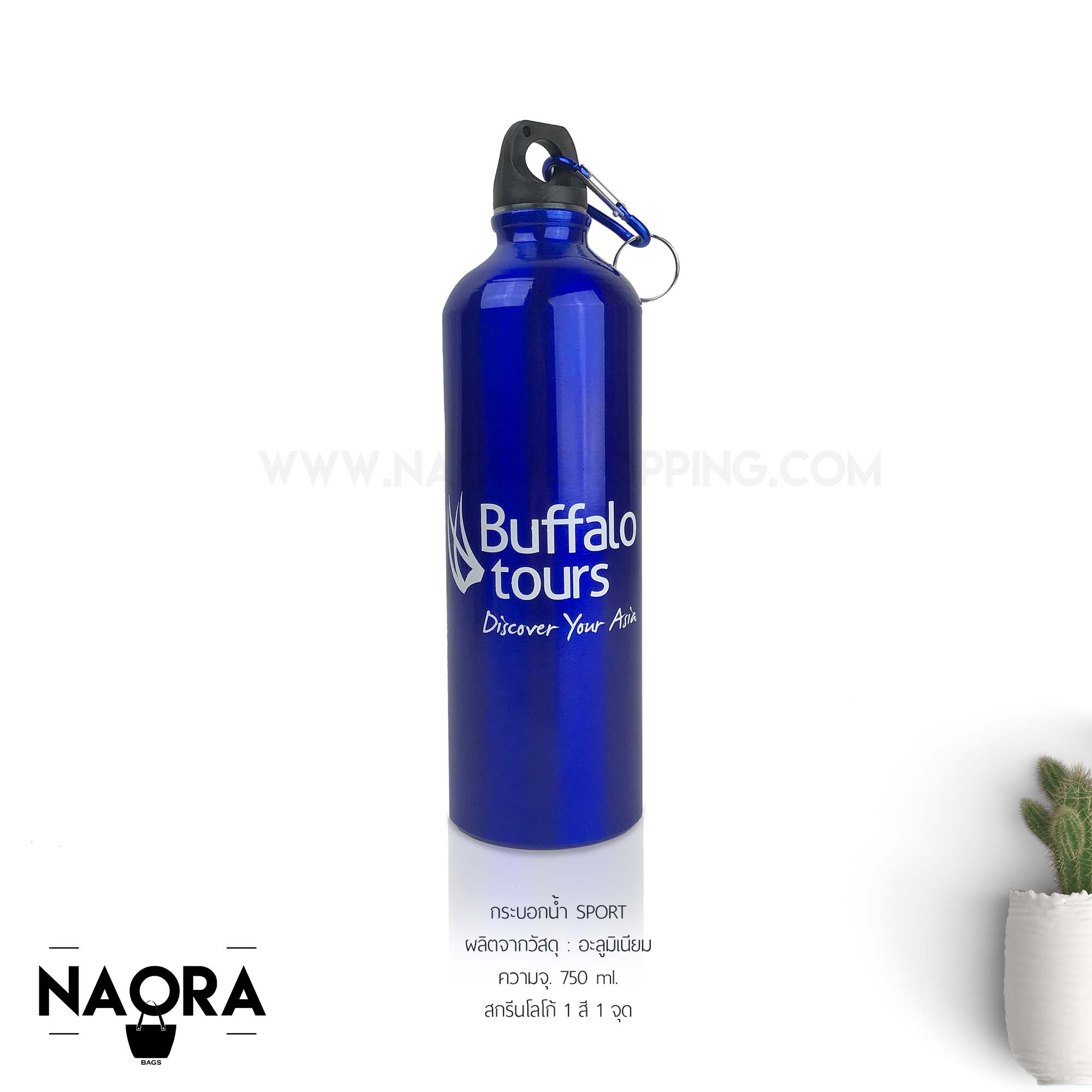 Buffalo Tours