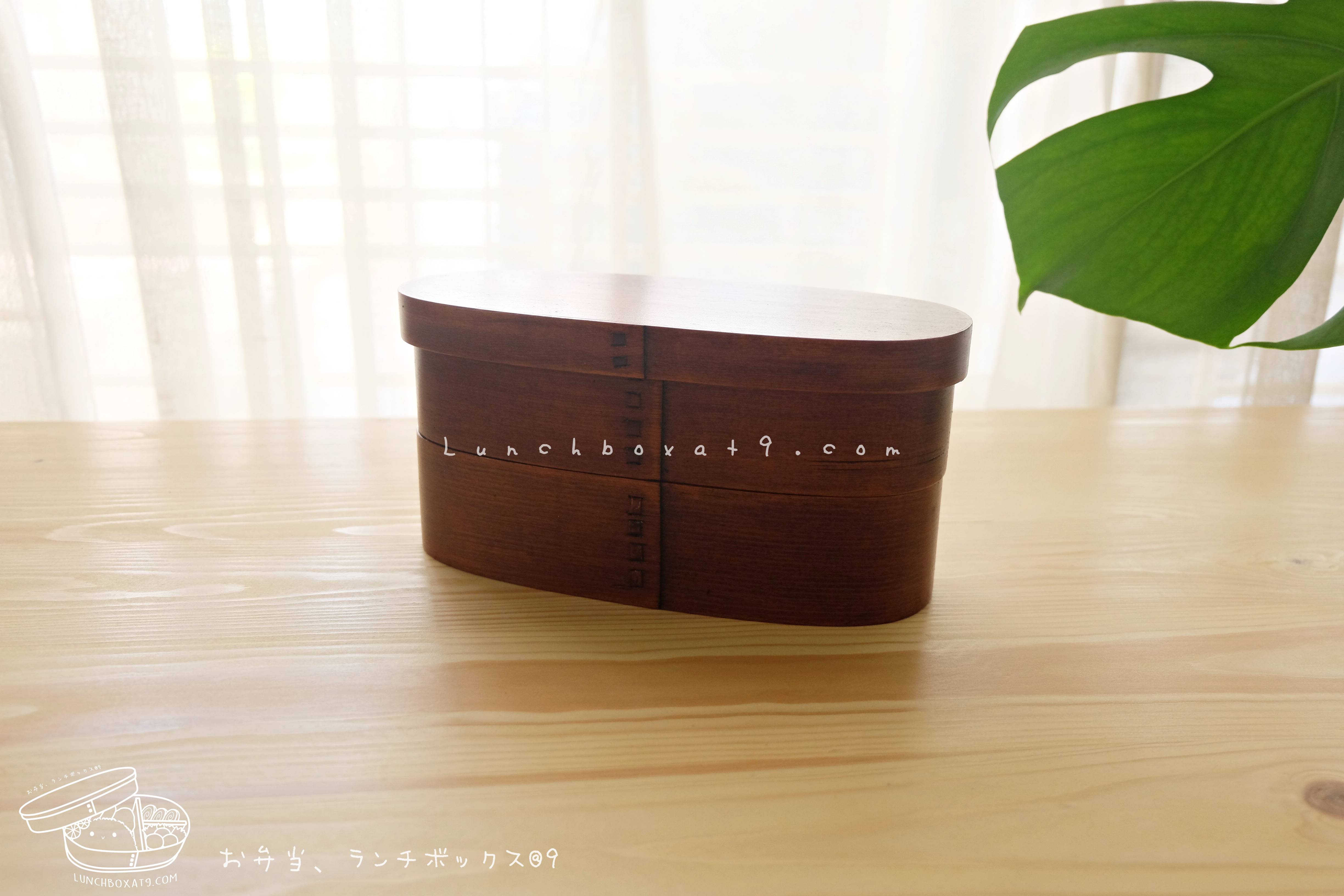 Edo Slim 2 stages Lacquered bending magewappa bento box กล่องข้าวเบนโตะญี่ปุ่นทรงยาวสีไม้เข้ม 2 ชั้น