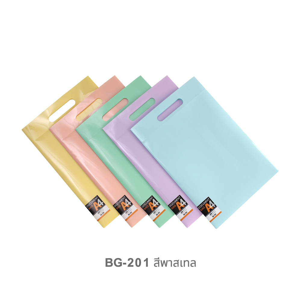 Document Carrying Bag A4