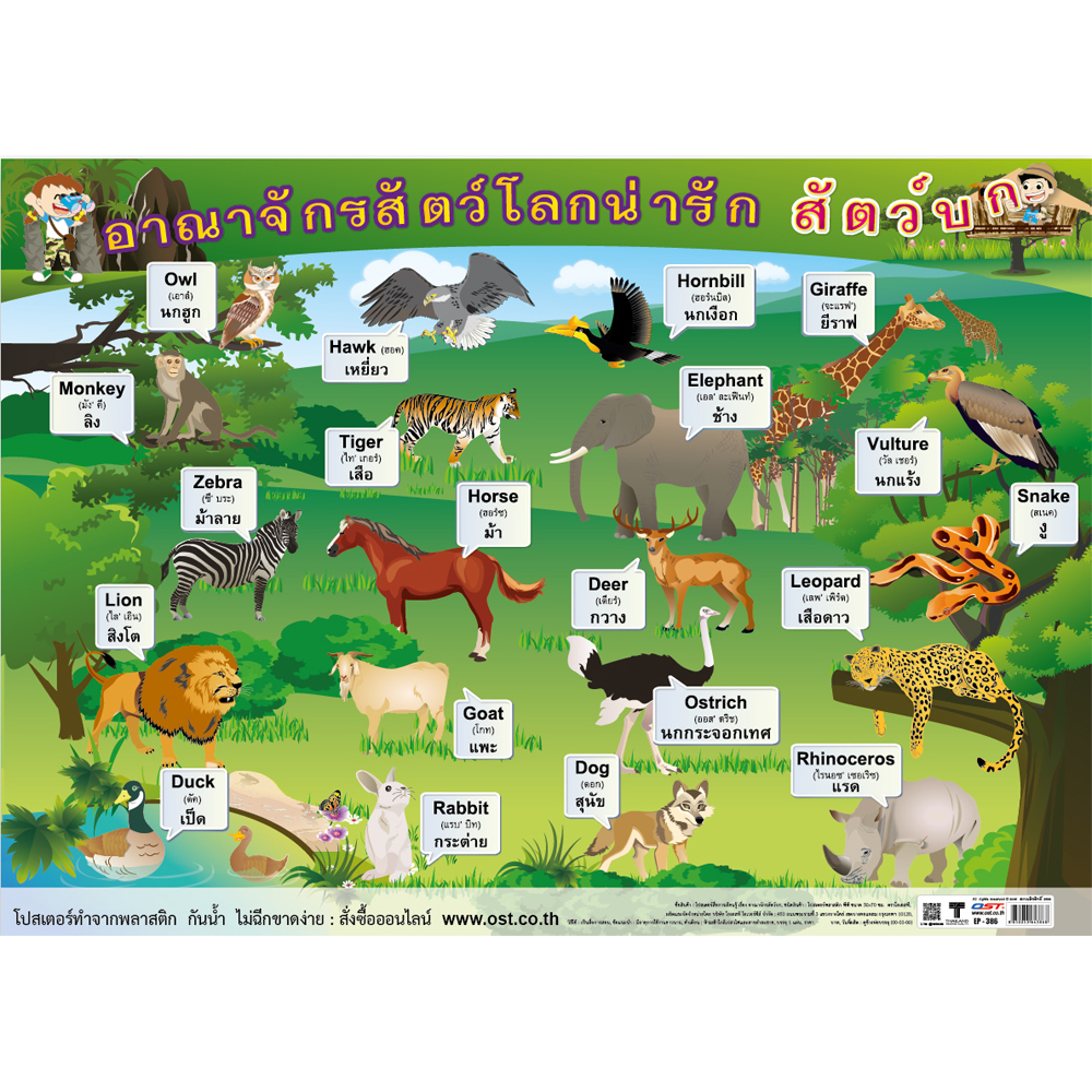 Terrestrial Animals Educational Posters No.386