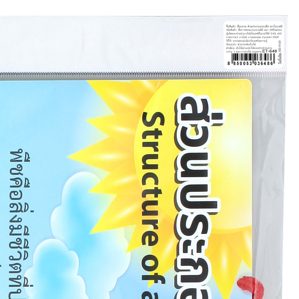 Hanging Display Flashcards Structure of a Plant ET-648