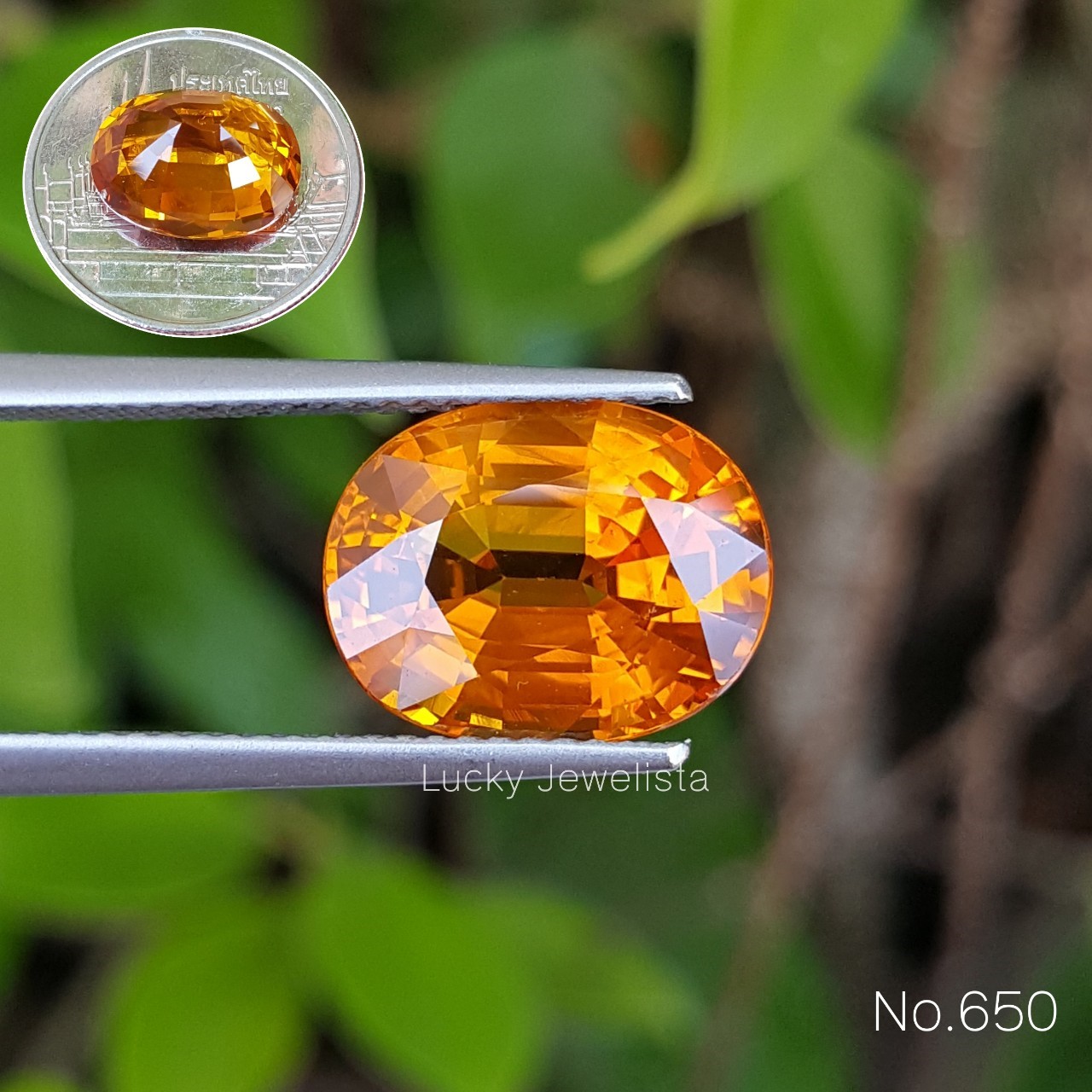 พลอยบุษราคัมบางกะจะ Yellow sapphire สีน้ำทอง 6.5 กะรัต ทรงไข่