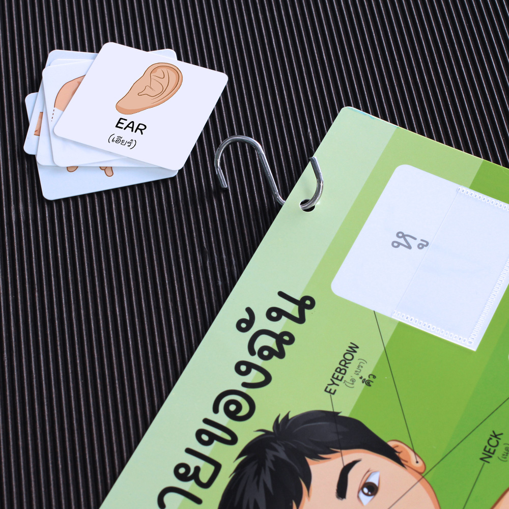 สื่อการสอน ร่างกายของฉัน-อวัยวะของฉัน ET-568 เจาะรูสำหรับแขวน