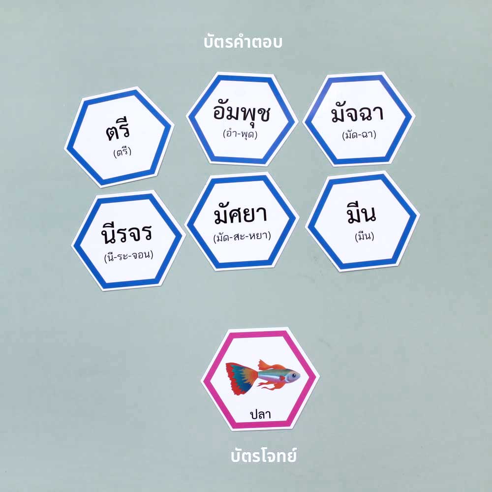 แผ่นเกมโจทย์และแผ่นเกมตำตอบ เกมตัวต่อรังผึ้ง คำไวพจน์ คำพ้องความหมาย