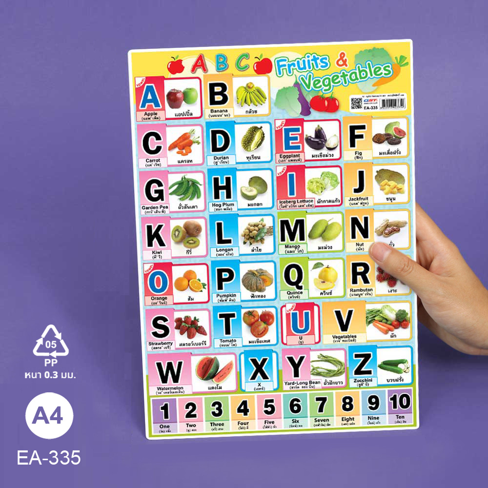 โปสเตอร์พลาสติก ความรู้ ชุดพยัญชนะ A-Z ขนาดA4 EA-335 Fruits&Vegetables