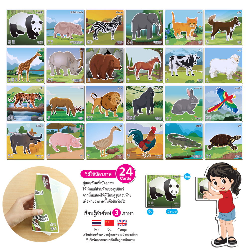 เกมทาย บัตรคำ 3 ภาษา ชุดสัตว์อะไรเอ่ย ET-328