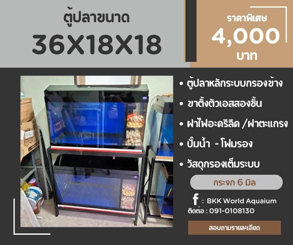 TP Service บริการรับติดตั้งตู้ปลา รับทำบ่ปลาคราฟ ตู้ปลาขนาด 36x18x18
