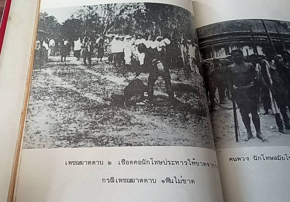 กุดหัวขั้วแห้ง แร้งวัดสระเกศฯ